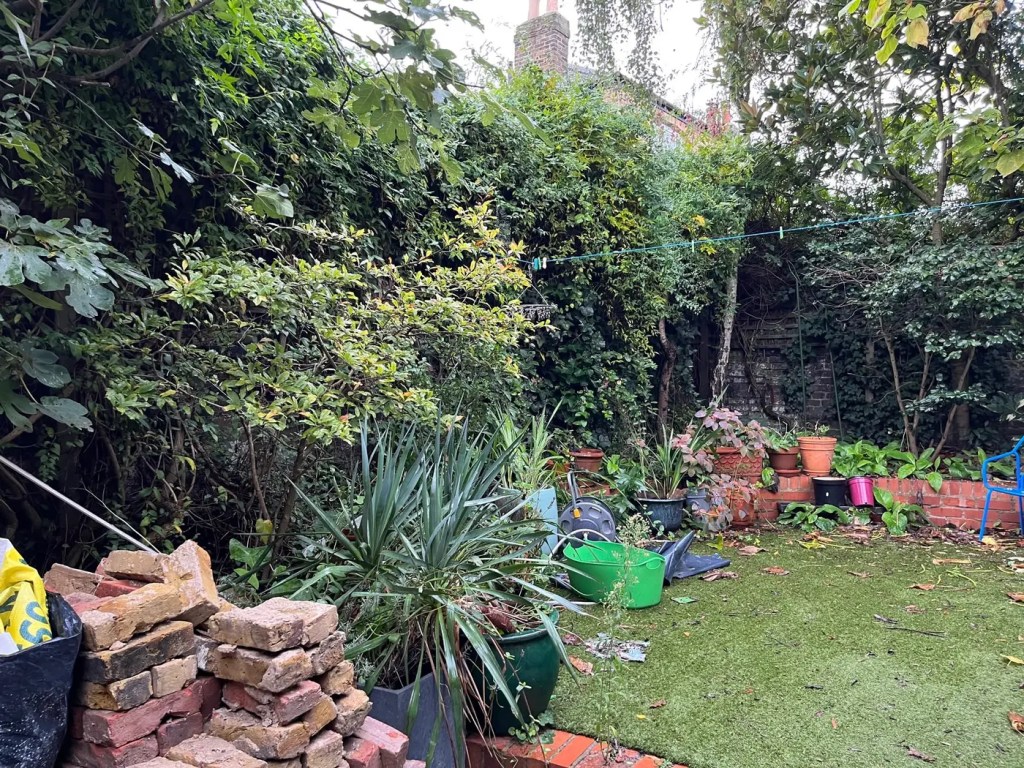 Overgrown and cluttered Lewisham garden before the design-and-build transformation.
